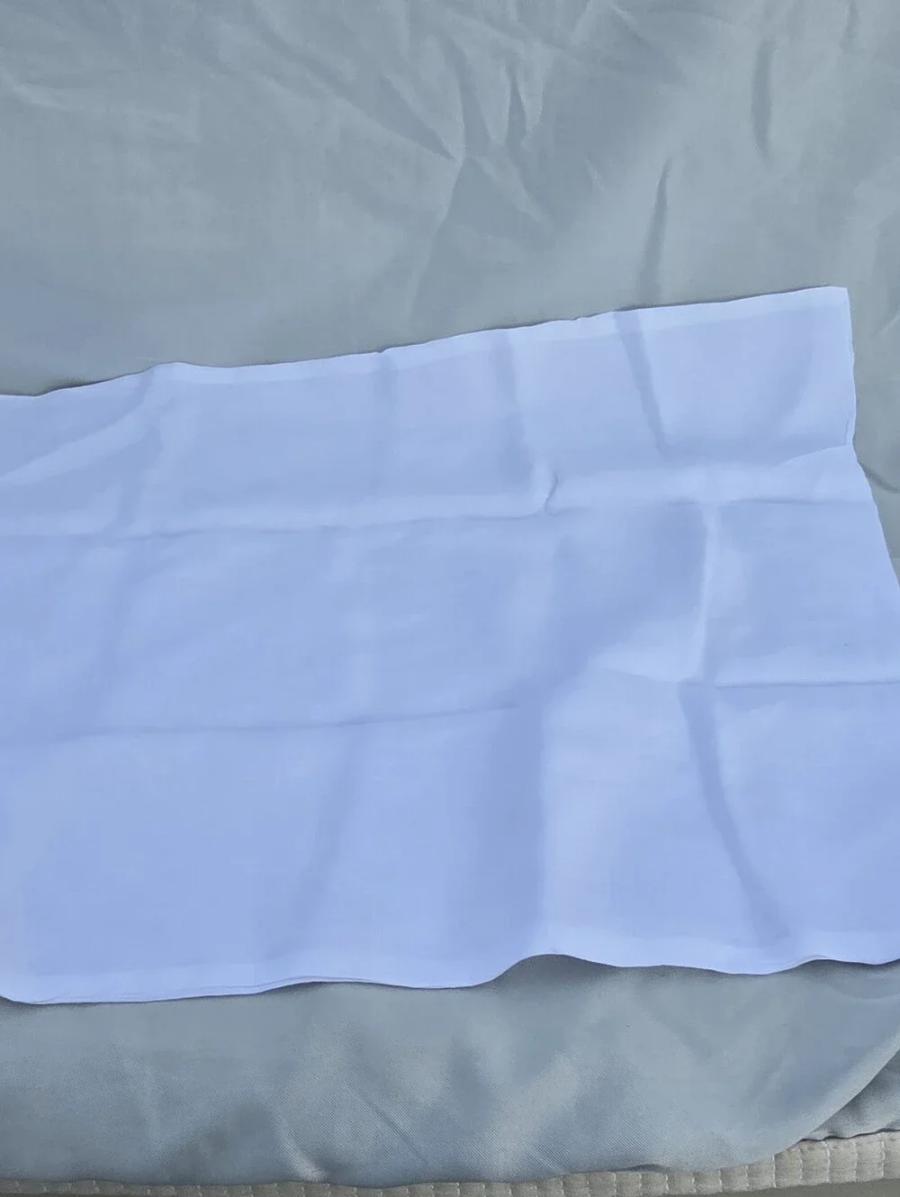Quince Set Of 2 100% European Linen STANDARD white Toffee Piped Pillow Case